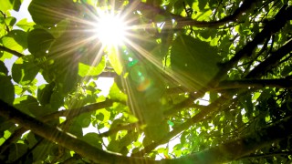 COP26: 10 leading ag companies commit to ‘shared efforts’ on climate change