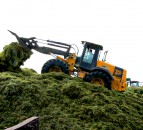 Fodder planning: Have you enough silage for this winter?