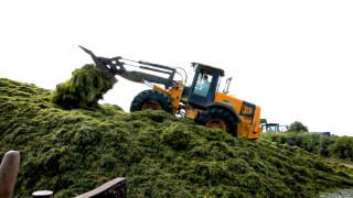 Five ideas to help boost silage quality in 2022