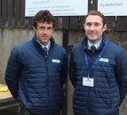 Alternative forages could significantly boost dairy diets