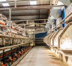 GDT sees slight lift for first rise in 9 auctions