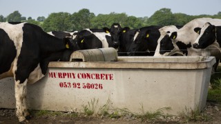 Testing the quality of your farm’s water supply