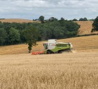 Harvest 2021: Propionic acid supply issues impacting grain treatment
