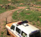 35 horses shot dead on rural property in Queensland
