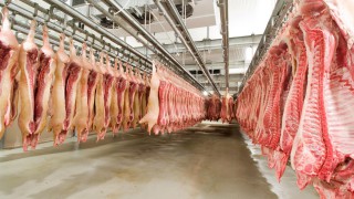 Carmichael MP calls to rebuild local abattoirs across UK
