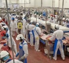 Rabobank: Argentina making waves on global beef market