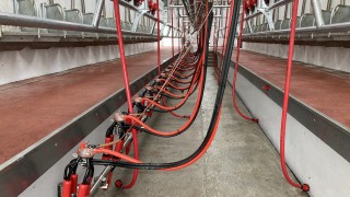 Supply chain must deliver farmgate milk price lift to deliver confidence – NFU Scotland