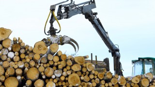 Nestle launches video platform to raise awareness about palm oil supply