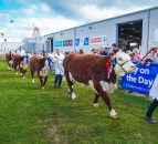 2021 Balmoral Show attendance ‘around two-thirds’ of normal turn-out