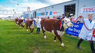 2021 Balmoral Show attendance ‘around two-thirds’ of normal turn-out