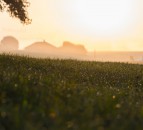 87% of global agri producer support is ‘price distorting and environmentally harmful’ – UN