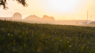 87% of global agri producer support is ‘price distorting and environmentally harmful’ – UN