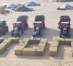 Farmworkers celebrate Tyrone victory… from the desert!