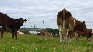 Number of farmers with a succession plan has not risen in 3 years – survey