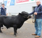 New herd names come to the fore at Balmoral Show