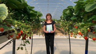 New vision to help increase innovative food growing in Wales