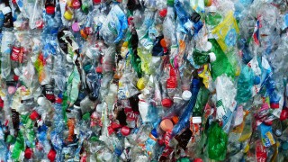 Scottish businesses urged to beware of tax on single-use plastic