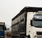 MII welcomes announcement by UK to defer import controls