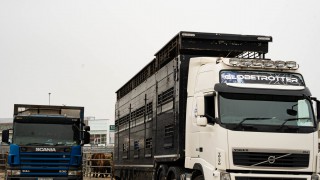MII welcomes announcement by UK to defer import controls