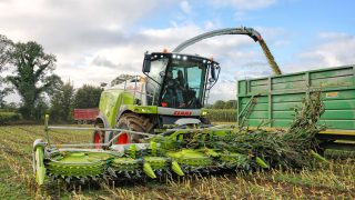 Machinery Focus: Clearing a maize crop grown ‘plastic free’