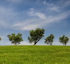 £47m to address critical environmental challenges facing the UK