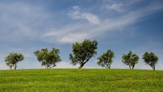 UFU to attend COP26 climate summit in Glasgow