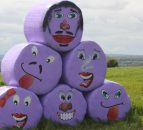Unique purple bales raise £45,000 for children's charity