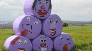 Unique purple bales raise £45,000 for children’s charity