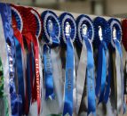 New 4 Breeds Calf Show launched for NI