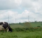 New air quality alert system launched for NI