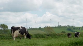 Average farmland values rise to highest level since 2018