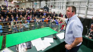 Entries open for 2021 Premier Beef and Lamb Championships