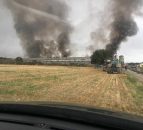 Pigs killed in Oxfordshire fire