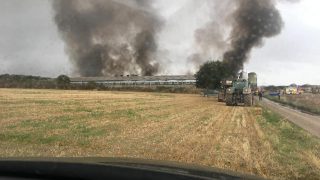Pigs killed in Oxfordshire fire