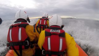 RNLI called to rescue cow off Irish coast
