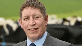 Farming sectors performing well in Northern Ireland