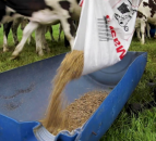 Dairy cost of production index hits trigger point a second time this year