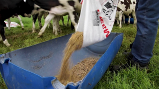 Dairy cost of production index hits trigger point a second time this year