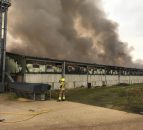 Insurers now investigating Oxfordshire pig-farm fire