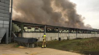 Insurers now investigating Oxfordshire pig-farm fire