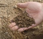 Sustainable Farming Incentive opens for applications