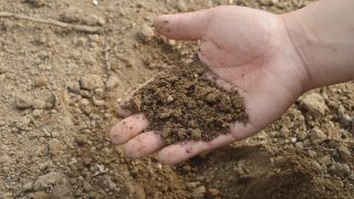 New Soil Nutrient Health Scheme for NI