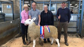 Border Leicester Sheep Society appoint 2nd ever female president