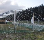 Farmers count the cost of Storm Arwen