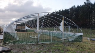 Farmers count the cost of Storm Arwen