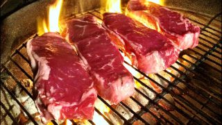 Merits of meat in a diet outlined in lecture to livestock sector