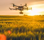 ‘Technology revolution’ in agriculture could reduce environmental impact