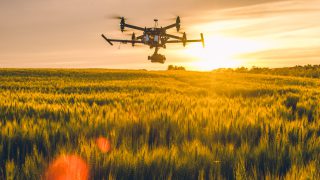 ‘Technology revolution’ in agriculture could reduce environmental impact