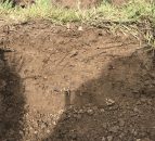 AgriSearch welcomes new NI Soil Nutrient Scheme