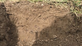 AgriSearch welcomes new NI Soil Nutrient Scheme